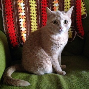 10252181_10152379798257328_2031482096886829421_n-1