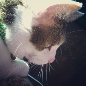 10405528_10152557328177328_4071140909071040277_n